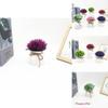 Plastic Veronicastrum Caulopterum Mini Pot With Roped Butterfly Design For Indoor Outdoor And Special Occasion Use