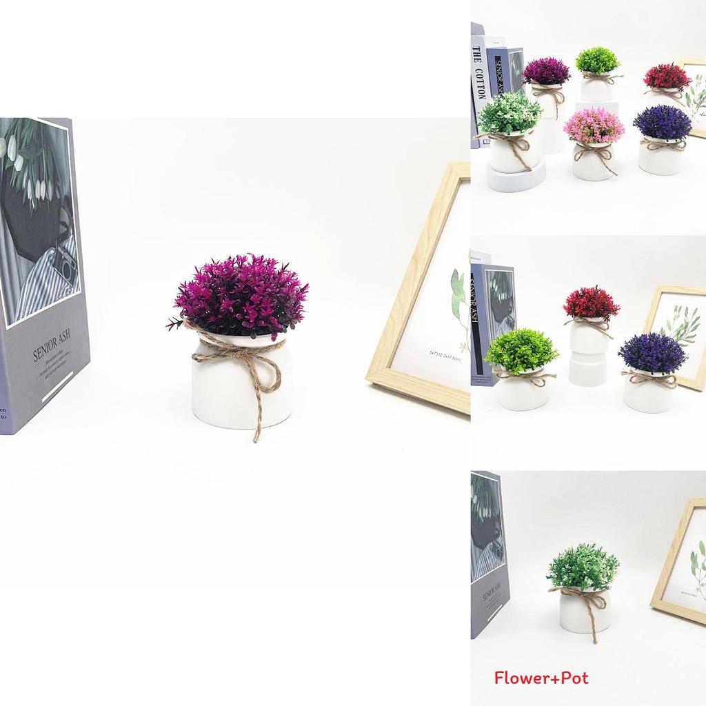 Plastic Veronicastrum Caulopterum Mini Pot With Roped Butterfly Design For Indoor Outdoor And Special Occasion Use