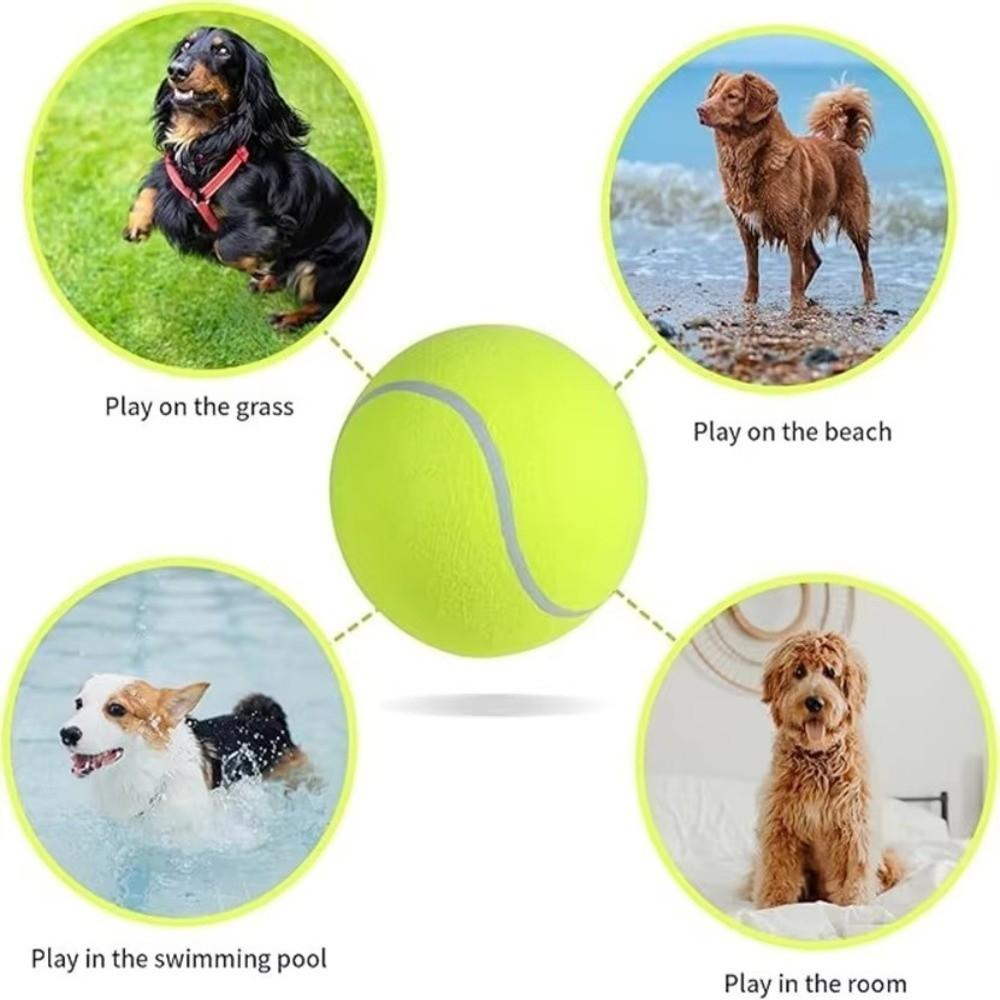 Durable Pet Playing Balls Non-Toxic Practice Ball New Tennis Balls  Tennis Club