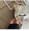 2026 Embroidered Clasp Shell Bag: Niche Design Evening Chain Shoulder & Crossbody Bag for Women