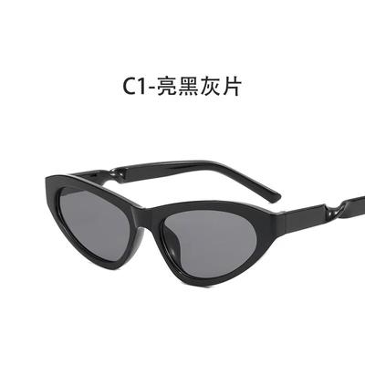Small Frame Retro Cat Eye Sunglasses Punk Hip Hop Sun Glasses Twisted Fried Dough Twist Leggings Men's Women's Sunglasses