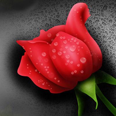 Vollständiges Diamantgemälde, rote Rose, Gemälde, Blumen, DIY, 5D-Diamant-Stickerei
