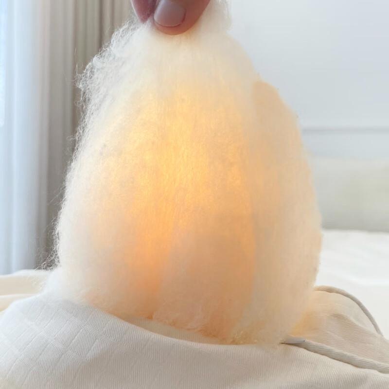 Japanese Style Soy Fiber Winter Quilt