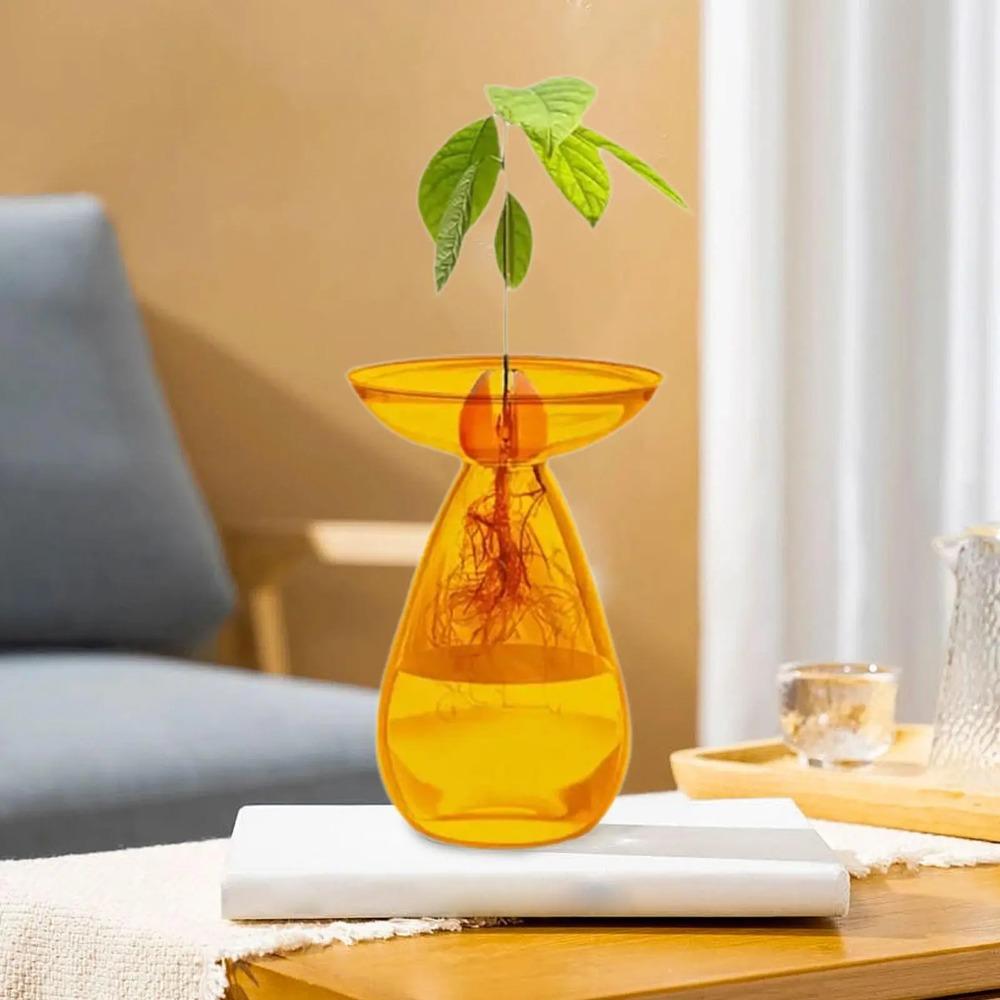 Creative Transparent Long Oval Avocado Hydroponic Vase Avocado Seeds Hydroponic Vessel Flower Pot for Gardening Home Decor