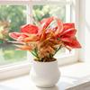 Automatic Water-absorbing Flowerpot with Vertical Grain Texture White Nordic Style Flower Pot for Home Decor