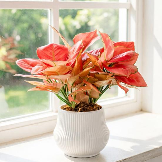 Automatic Water-absorbing Flowerpot with Vertical Grain Texture White Nordic Style Flower Pot for Home Decor