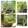 Resin Chameleon Statue Wall Mounted Lizard DIY Outdoor Garden Tree Decoration Sculpture For Home Office Garden Decor Ornament