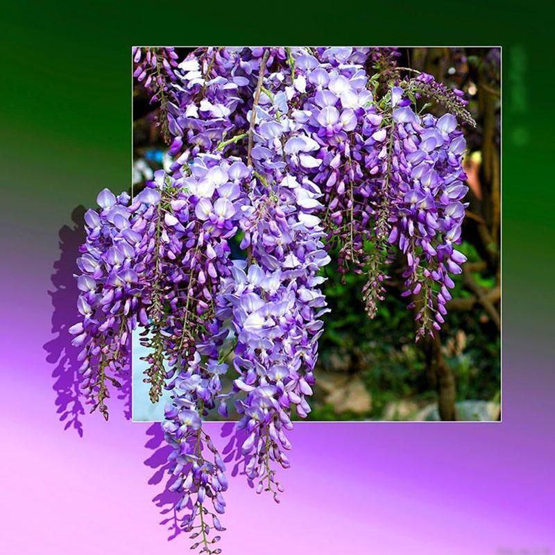 Floarl DIY 5D Diamond Painting Full Round Drill Diamond Embroidery Mosaic Flower Rhinestone Picture Cross Stitch Kit Home Decor