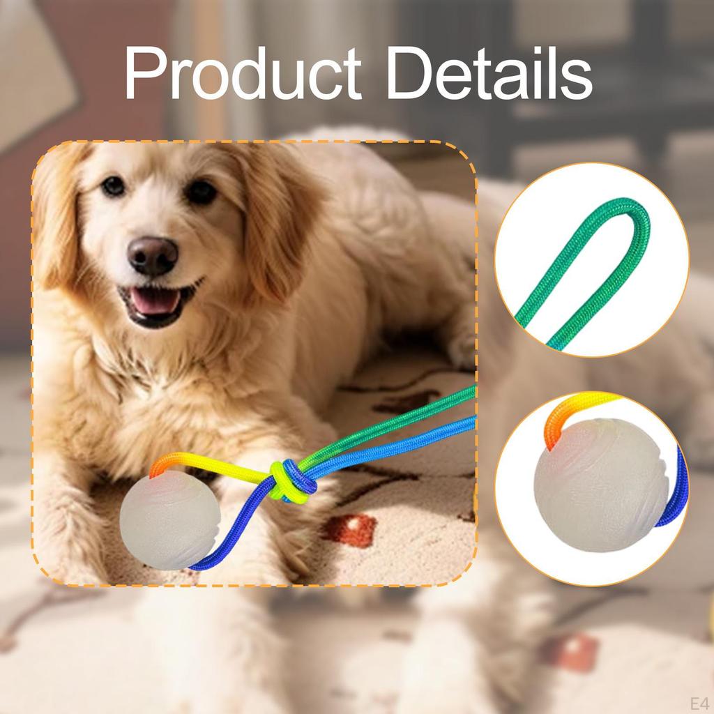 Dog Training Ball On Rope Toy Fit Small Medium Large Dogs, Soft, Exercise and Reward