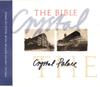 CD БІБЛІЯ Crystal Palace BIBCD2 Chrysalis 1988 UK Рок Вживаний