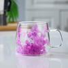 Double Insulated Dried Flower Glass Cup Coffee Tea Cup Clear Glass Cup Double Wall Mug  Household