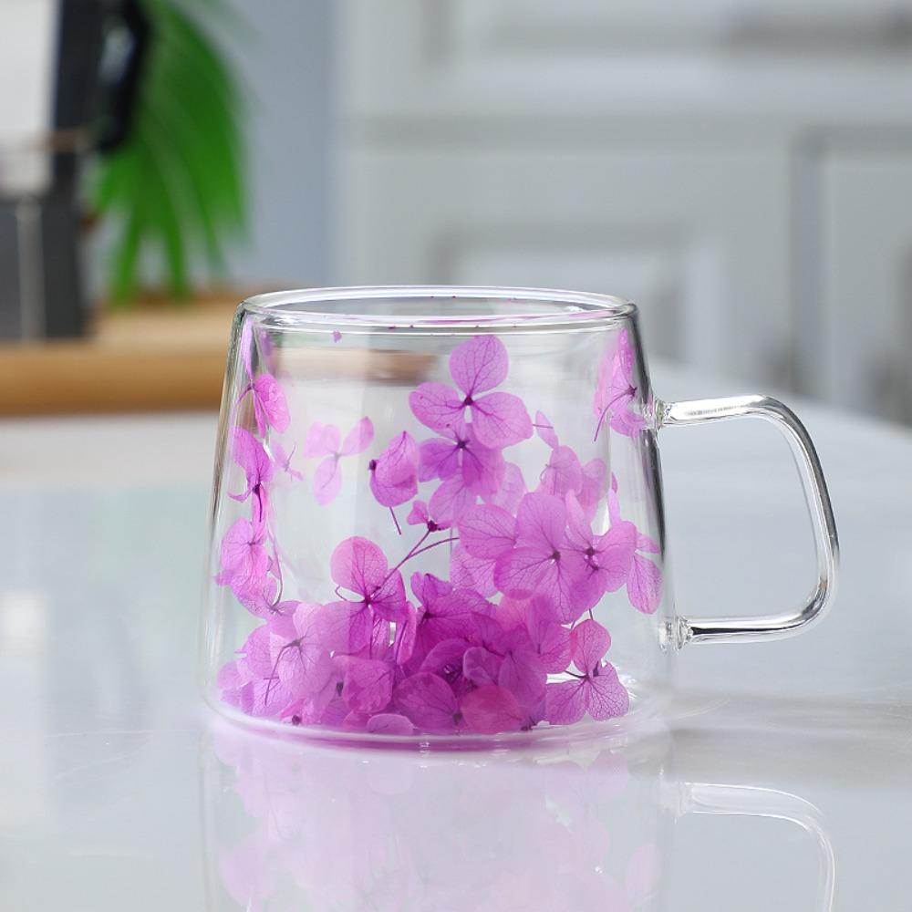 Double Insulated Dried Flower Glass Cup Coffee Tea Cup Clear Glass Cup Double Wall Mug  Household