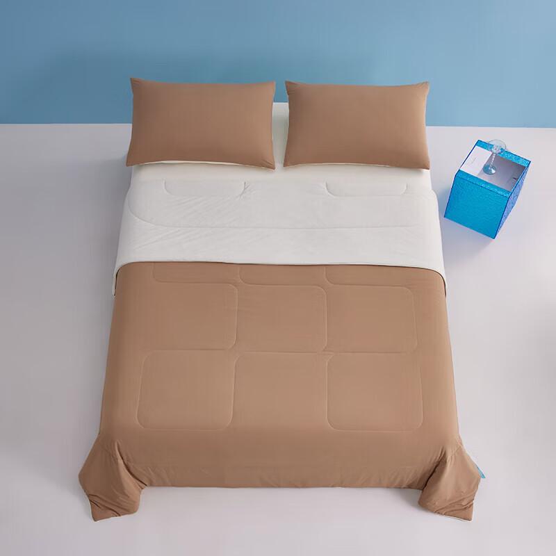 Belle Anna Cooling Tussah Silk Quilt