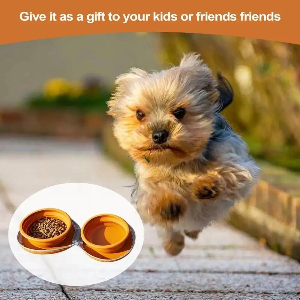 Silicone Dog Drinking Box Portable Collapsible Pet Bowl New Puppy Dual Bowl Pet Travel