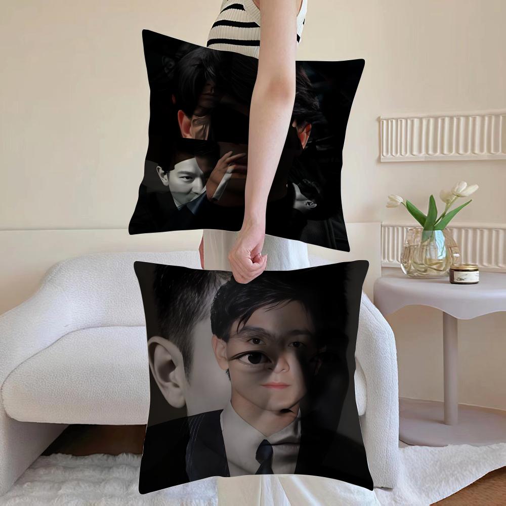 Andy Lau Actor Cushion Cover Anti-Dustmite Pillowcase Invisible Zipper Silky Short Plush Sofa Cushion Cover