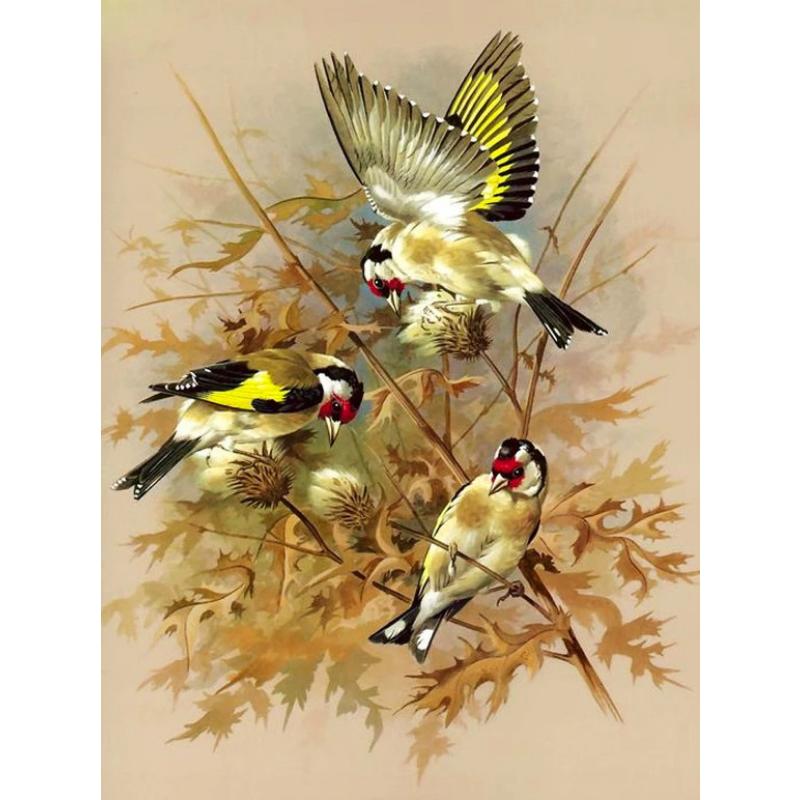 Canvas paintings, animals, birds, home decor, gift craftsmanship, living room, bedroom, wall decoration