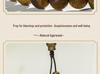 Hainan Yingge Green Qinan Agarwood Buddhist Beads Bracelet - Unisex Style, Five Fen Chen Beads, Free SF Express Shipping