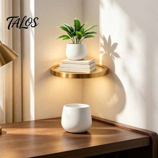 Illuminated Wall Decor for Home Floating Shelf with LED Light, Modern Gold Metal Display Rack Minimalist Invisible Bracket Plants Book, Space