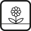 Peat Seedling Beds: 8 X 8 X 7.8 Cm, 60 Pieces
