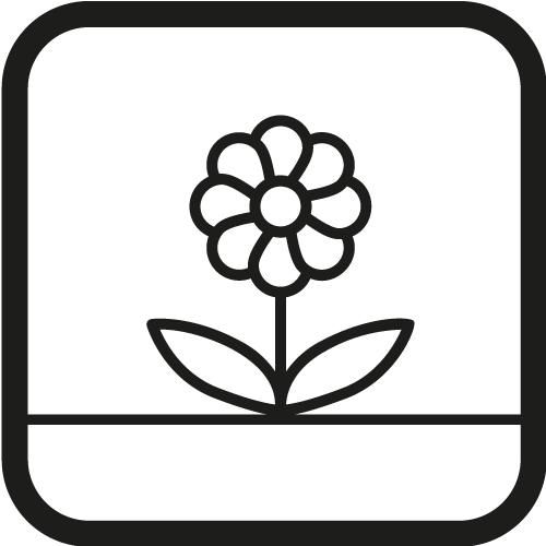 Peat Seedling Beds: 8 X 8 X 7.8 Cm, 60 Pieces