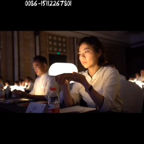 Best Selling Products 2022 Rechargeable Led Folding Book