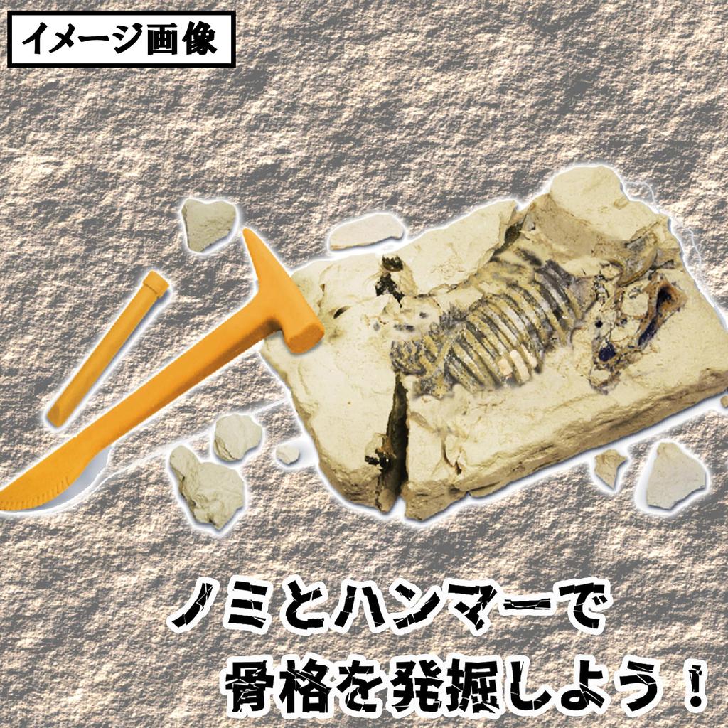 Excavation Dinosaur Ice Triceratops 1 Senshu towel wiping off for ages 6 and includes chisel and plastic independent science miscellaneous educational