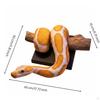 gold ball Python Wall Sculpture Collectible Decor Detailed Texture Resin Snake