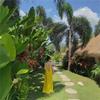 Summer Seaside Backless Spaghetti Strap Dress - Women's Gentle Yellow A-Line Long Skirt