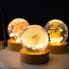 Crystal Ball Night Lights 3D Dandelion Luminous Table Lamp Bedroom Home Decor for Kids Party Children Birthday Gifts Flower Lamp