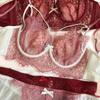 Sexy Hollow Bra Briefs Set French Thin Cup Lace Embroidery Women Underwear Wire Free Bralette Padding Comfort Plus Size Lingerie