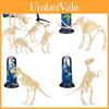 Modelo de Esqueleto de Dinossauro Arqueológico Realista Kit de Montagem DIY Para Brinquedos de Crianças