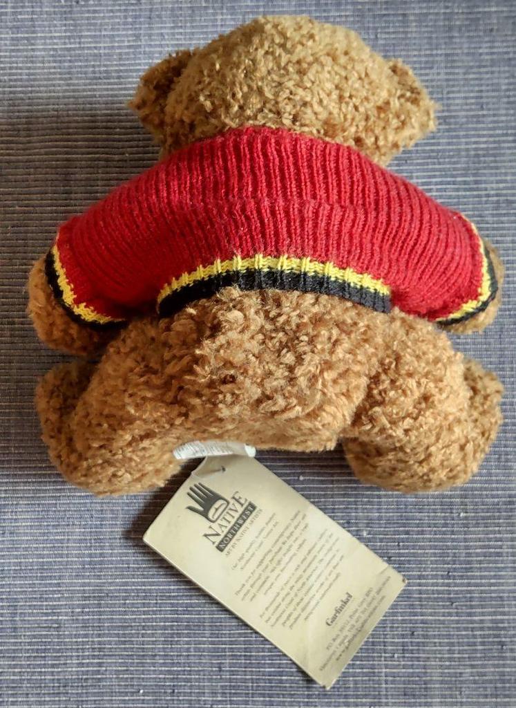[USED] Northwest Coast Canadian Indian Bear Cub Teddy Bear