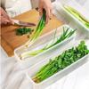 Kitchen Long Rectangular Food Storage Containers, Plastic Reusable Refrigerator Organizer Boxes