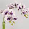 Butterfly Orchid Simulation Big Moth Orchid Real Touch Faux Phalaenopsis  Mother's Day Gift