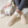 Winter Coral Fleece Socks Sleeping Mid Tube Socks Women Fashion Floor Plush Socks  Autumn