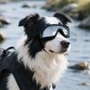 Fashion Dog Glasses Adjustable Dog Goggles Anti-UV Pet Sunglasses for Small Large Dogs Pet Eyewear Eye Protection Widely Used