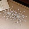 French Style Snowflake Earrings Personality Exaggerated Ear Studs  Special Occasions