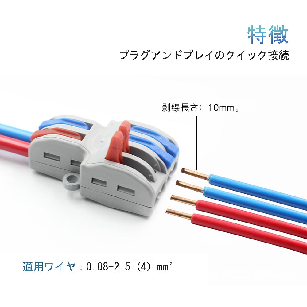LIANHATA One Touch Connector, Set of 10, 2 Inputs, 4