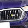 1Pc Metal Car Stickers VRS Logo For Octavia 2 3 Kamiq Kodiaq Karoq RS Superb Fabia Rapid Favorit VRS Emblem Badge Accessories