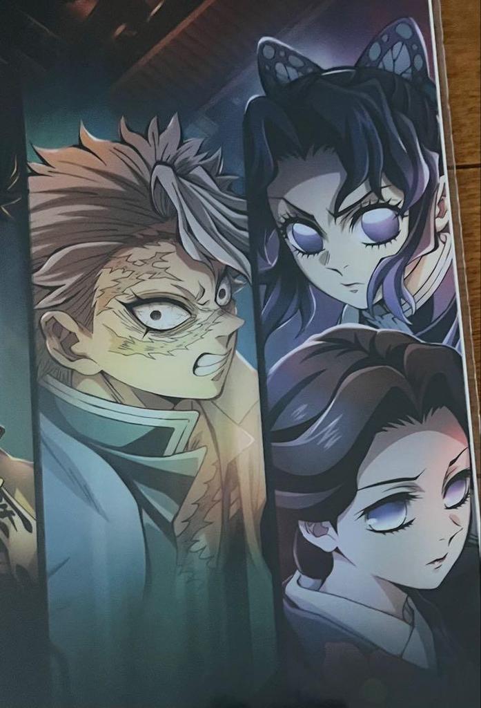 [USED] Demon Slayer: Kimetsu No Yaiba Teaser Key Visual Mugenjo Arc Poster Bonus Giyuu Shinobu Saneya