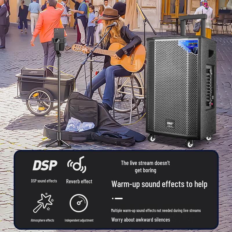 SAST Portable Karaoke Bluetooth Speaker with Dual Microphones CN plug (adapter included)