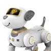 Remote Control Robot Dog Toy Toys for Boys and Girls Age 5 6 7 8 9 10