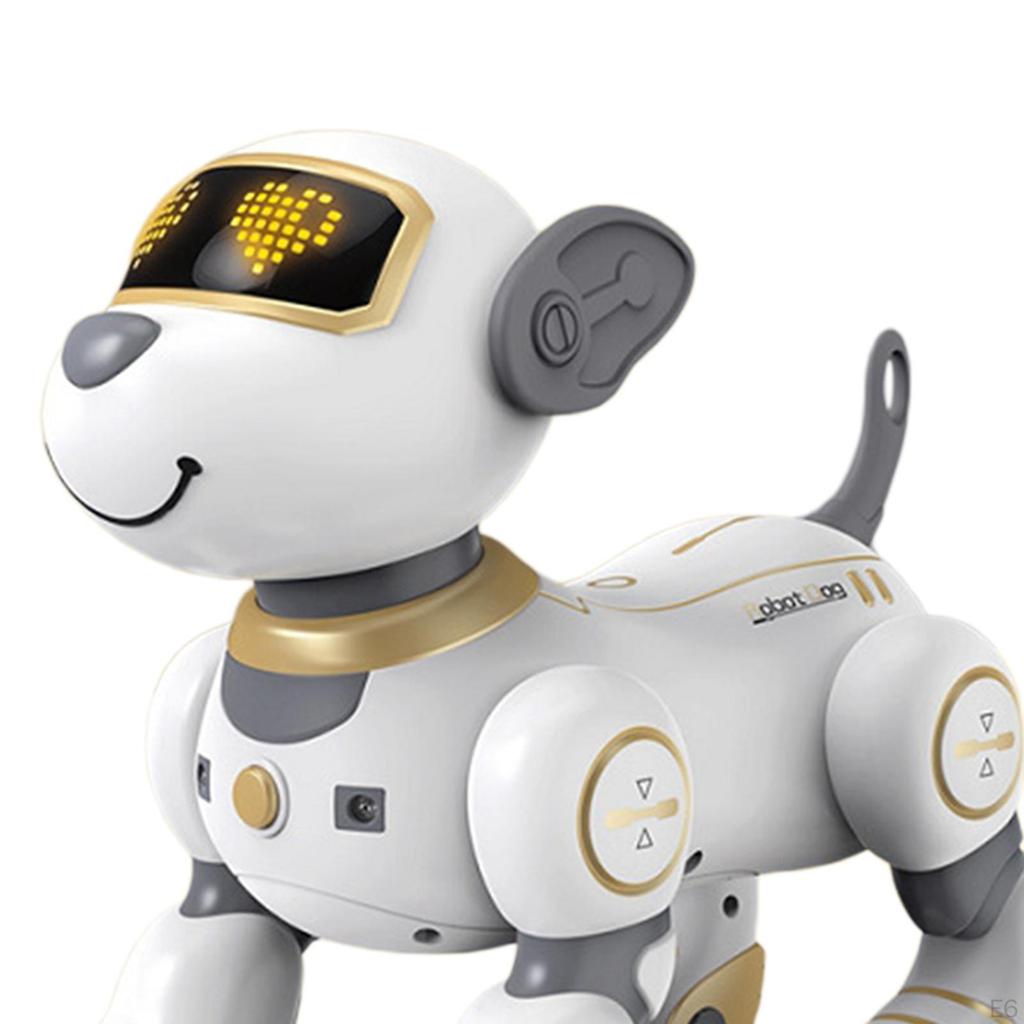 Remote Control Robot Dog Toy Toys for Boys and Girls Age 5 6 7 8 9 10