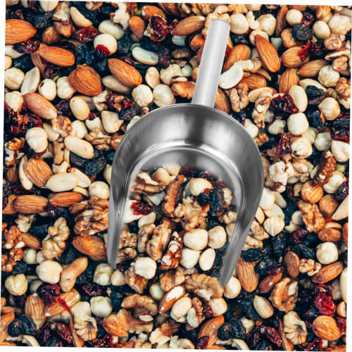 DOITOOL Stainless Steel Multipurpose Food Shovel, Kitchen Ice Scoop, Flour, Rice, Grain Measuring Scoop, Food Scoop with Smooth Finish