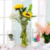 Tall Clear Vase for Centerpieces, Glass Hurricane Candle Holders for Pillar or Floating Candles Round Vases for Wedding Annivery