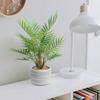 WillingYou Fake Green Tabletop Mini Artificial Fake Potted Plant Tropical Palm Tree Height Inches with Pot Stylish Interior Goods No Care Required No