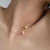 High End  Gold PVD  Dainty  Waterdrop & Oval Zirconia Stainless Steel Pendant Hypoallergenic Waterproof Necklace Fashion Jewe
