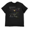 Crewneck Black Hole Physics And Yo Momma Essential T-shirt Motion Top Tee Top Quality Funny Joke Travel USA Size