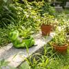Flower Planter Resin Frog Flower Pot Cartoon with Drainage Hole Plant Holder Decorative Flower Container Tabletop