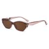 Retro Cat Eye Sunglasses for Square & Round Faces - 2026 Fashionable High-End Style